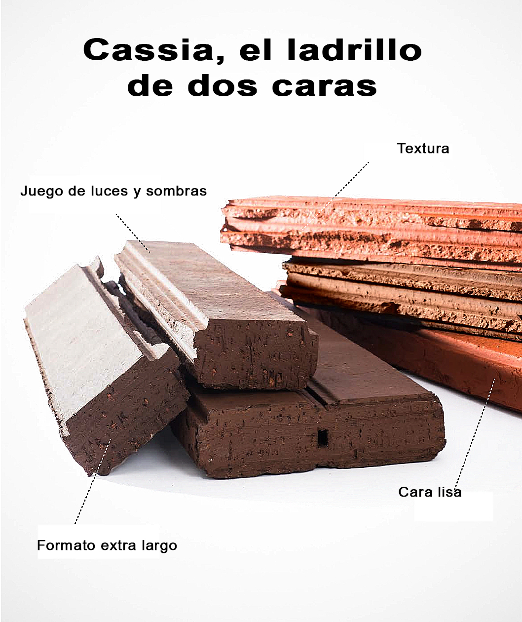 ditail-materiales-construccion-soluciones-cassia-wienerberger