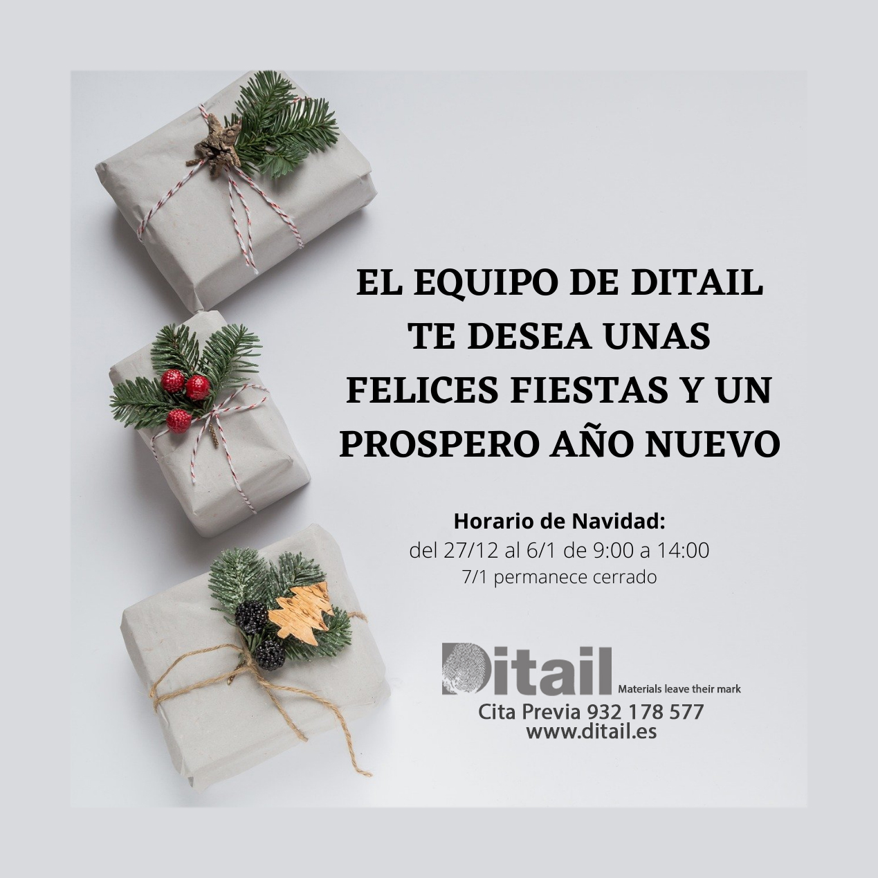 Ditail-arquitectura-NAVIDAD-2021-1