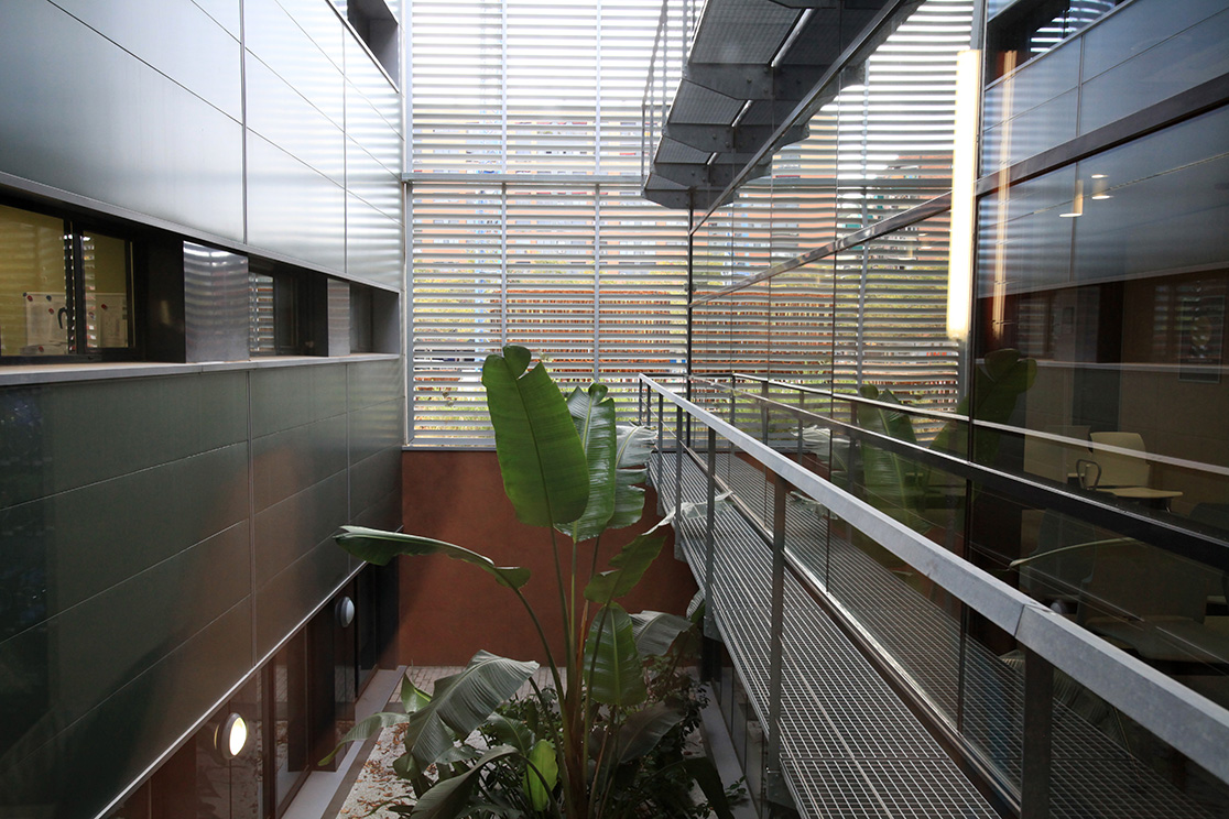 Ditail-materiales-proyectos_8671